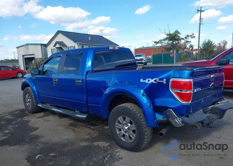 2009 Ford F-150 Fx4/King Ranch/Lariat/Platinum/Xl/Xlt z USA, uszkodzony, nr VIN 1FTPW14V19FA16758